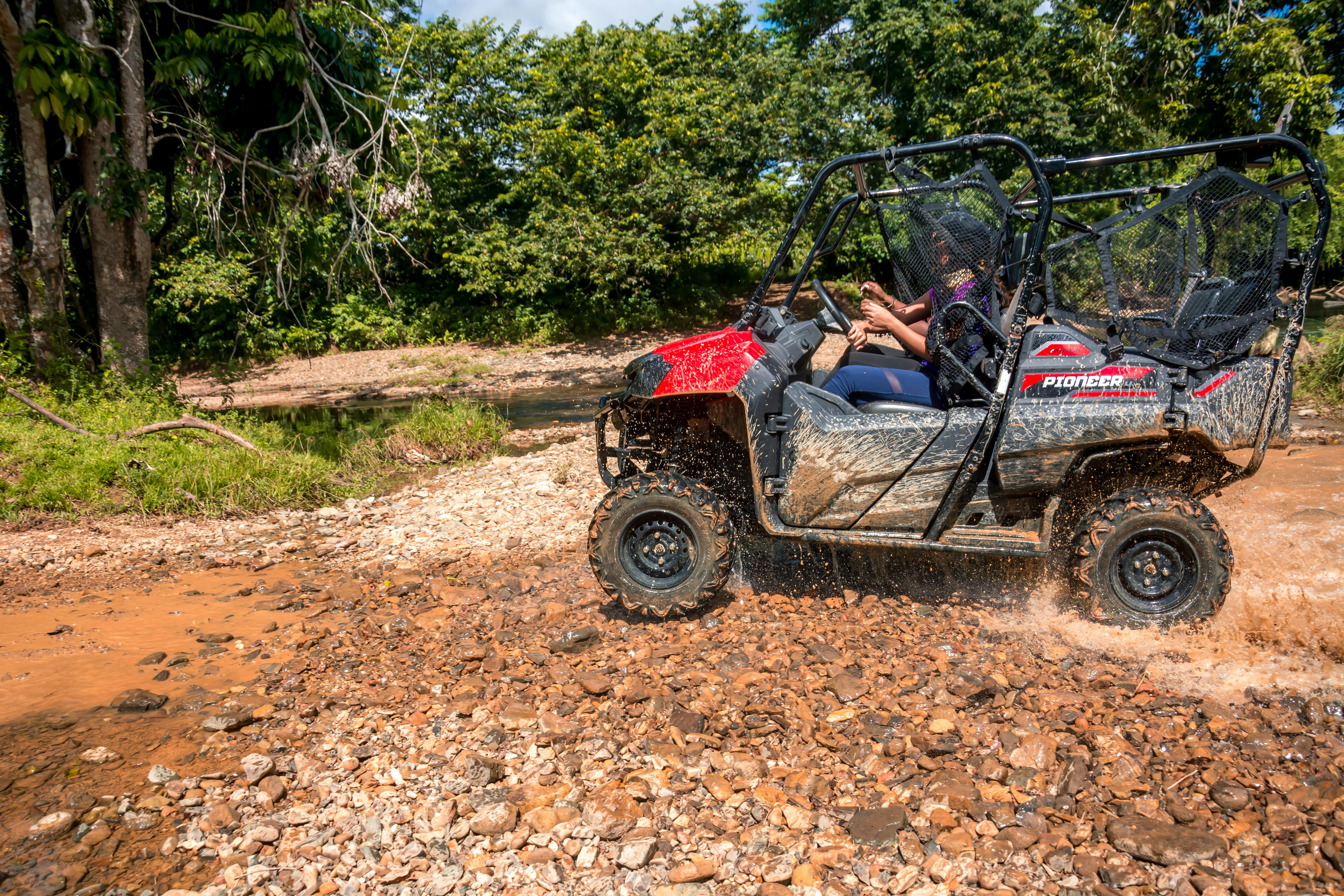 Dominican Safari and Buggy Tour