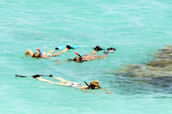 Excursion de plongée en apnée à Paradise Island