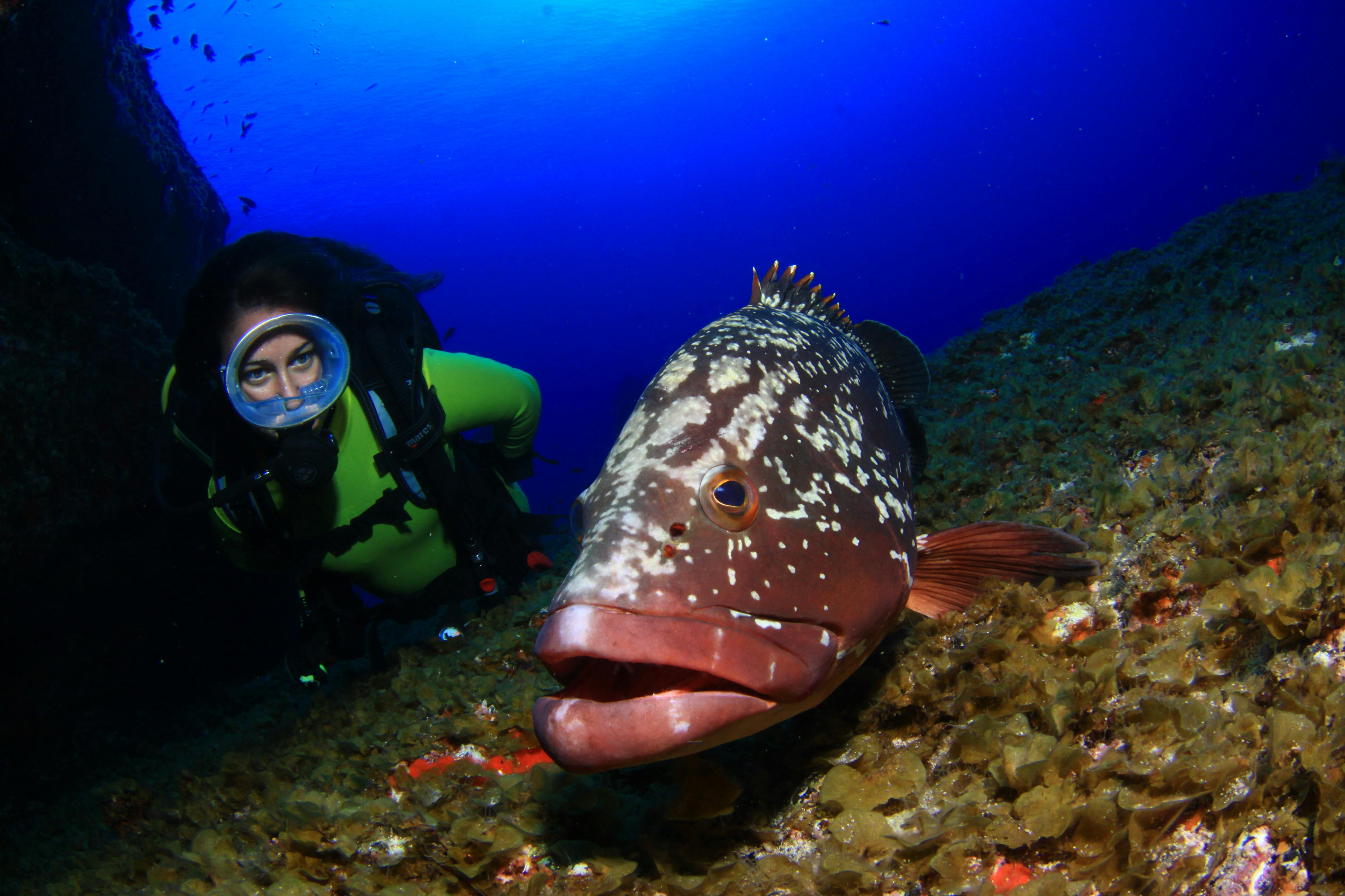 Rubicon Diving Courses