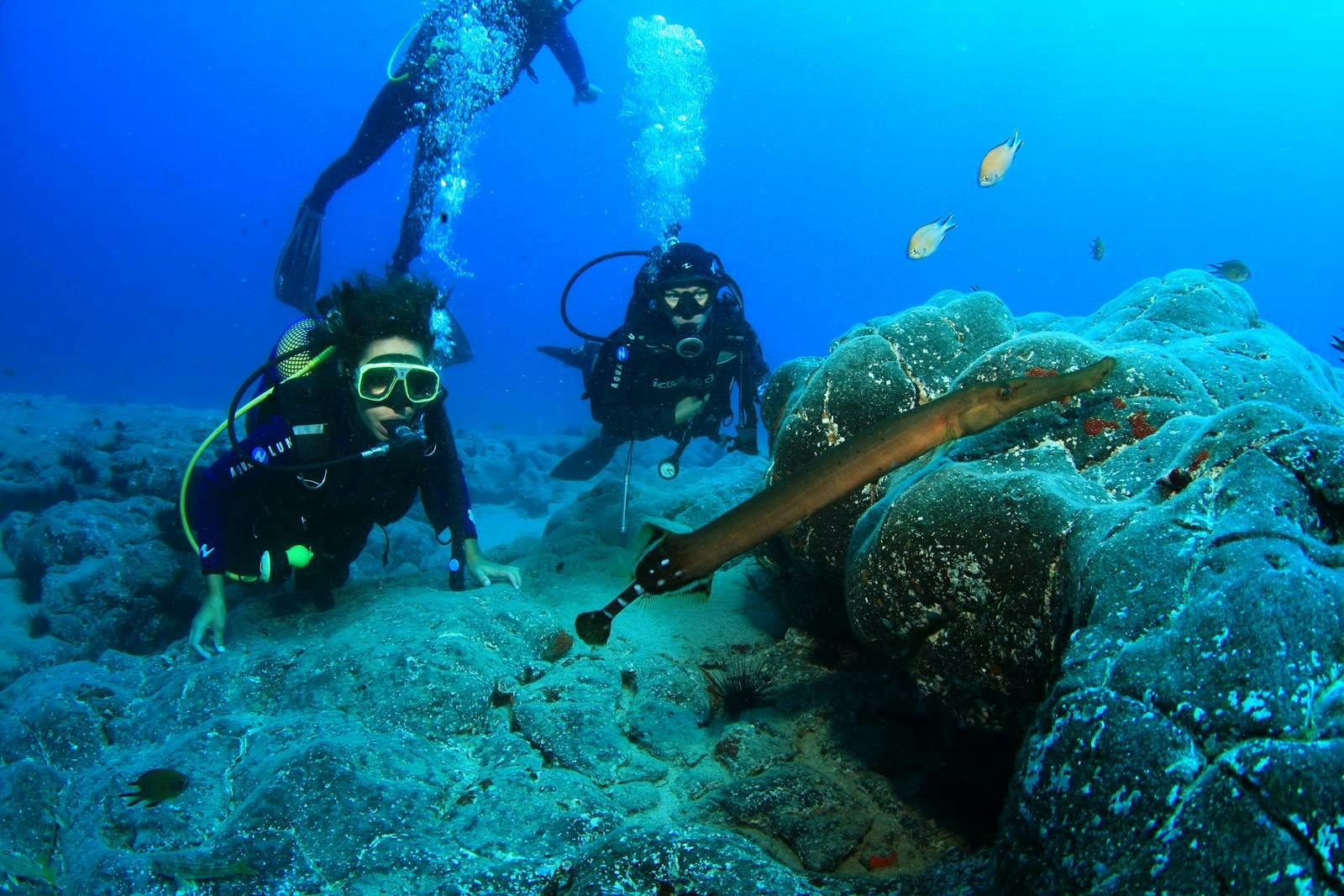 Plongée Certifiée avec Rubicon Diving