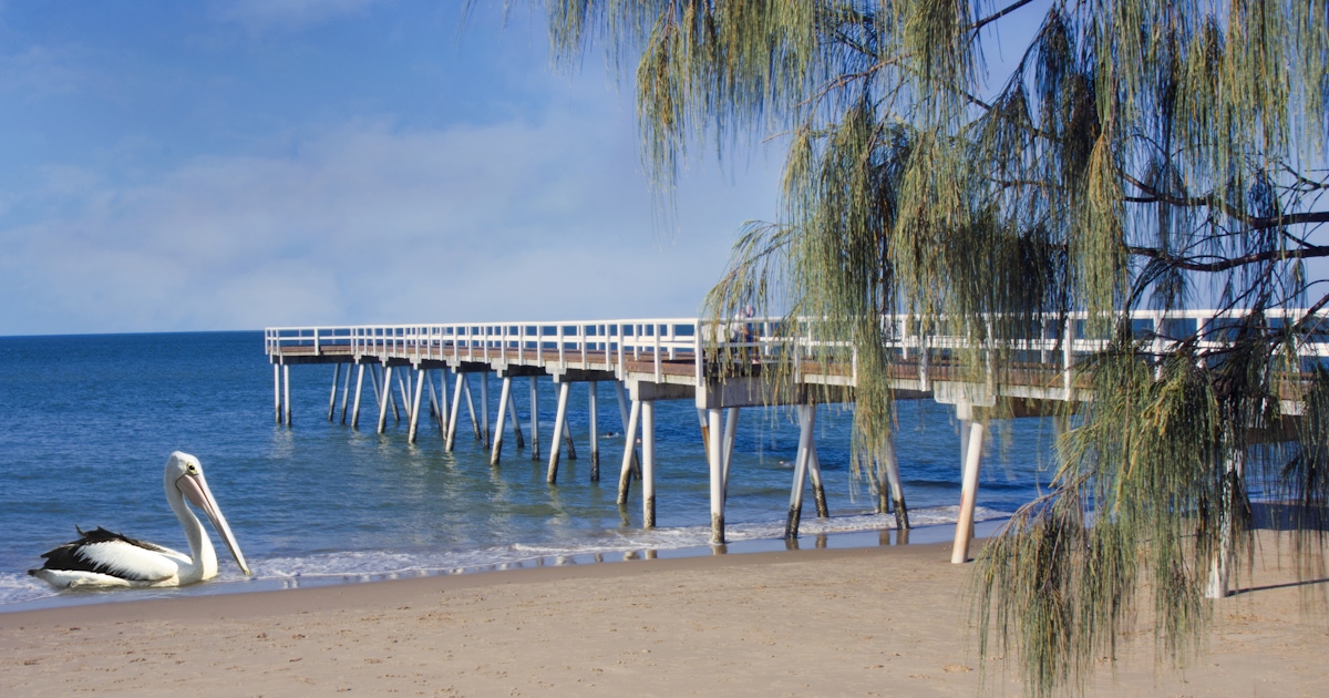 The best things to do in Hervey Bay Queensland