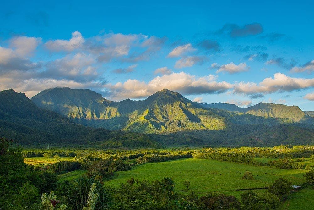 Kauai Highlights and Movie Locations Tour