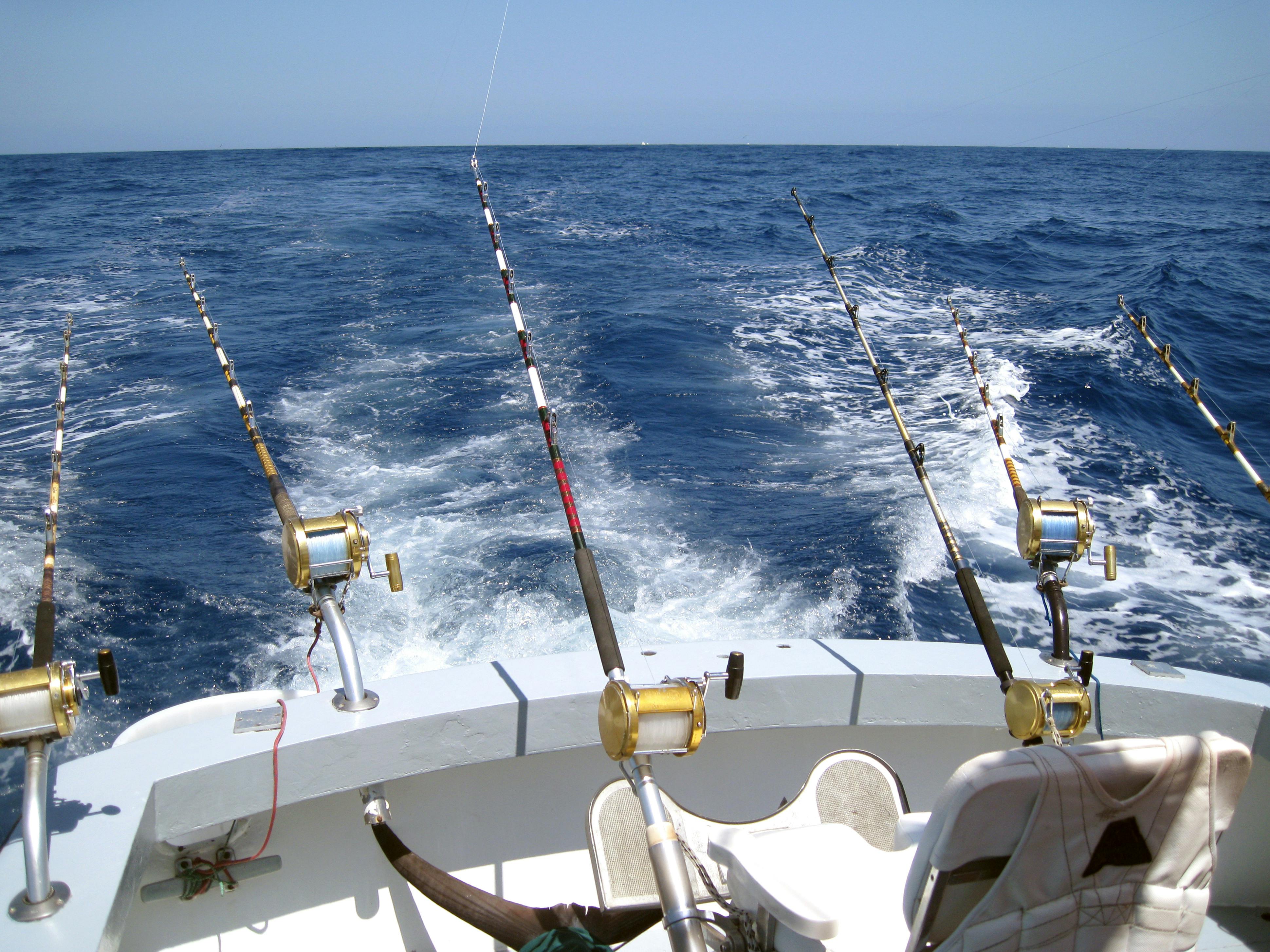 Pêche sportive à bord du White Striker