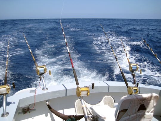 Sportfiske i Puerto Rico