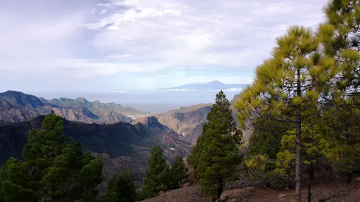 Hiking Gran Canaria Active