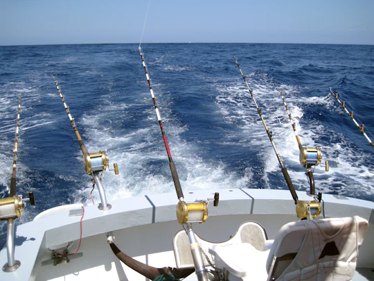 Sport Fishing in Puerto Rico
