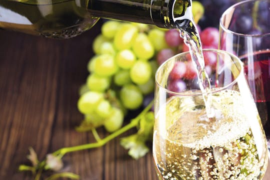 Wine Tasting Lake Maggiore