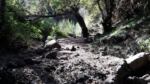 Hiking Gran Canaria Active