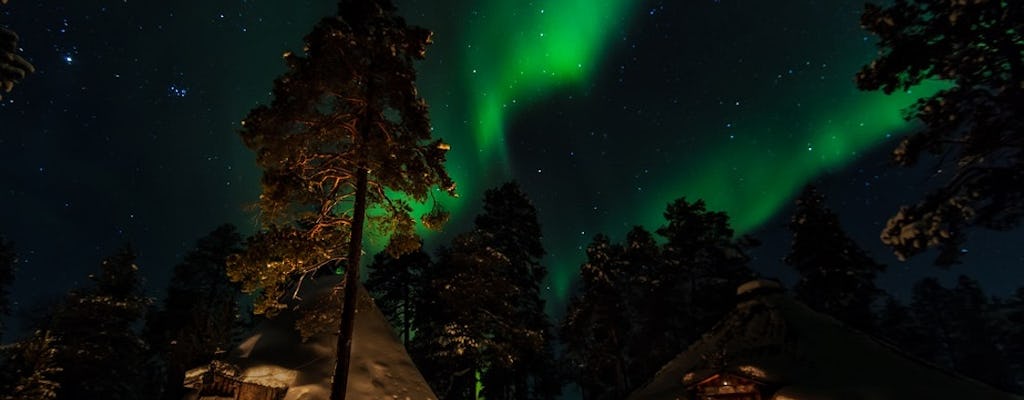 Aurora jacht door sneeuwschoenen