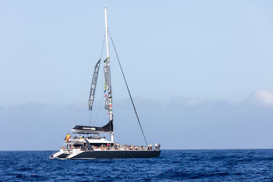 Whale and Dolphin Watching Catamaran Trip - Freebird