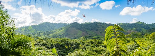 Monkey Jungle Tour