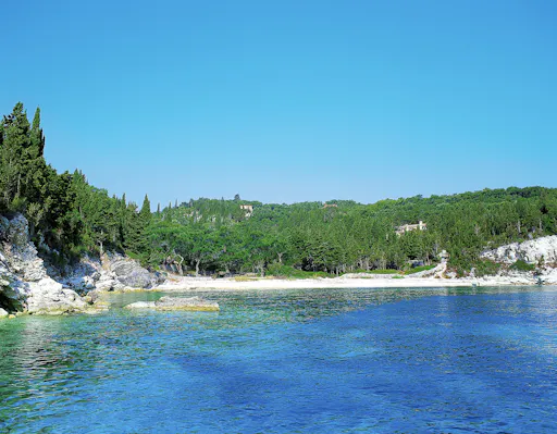 Paxos and Antipaxos Cruise