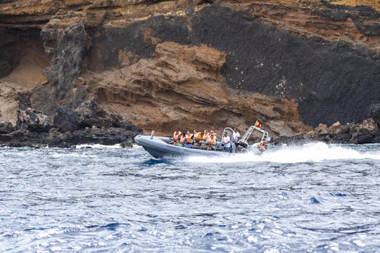 Porto Santo RIB Speedboat Experience