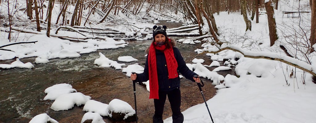 Caminhada com raquetes de neve até o vale do rio Neris e Kernavė, patrimônio da UNESCO