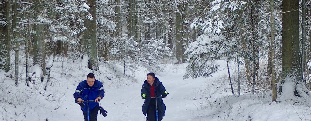 Labanoras Forest winter adventure