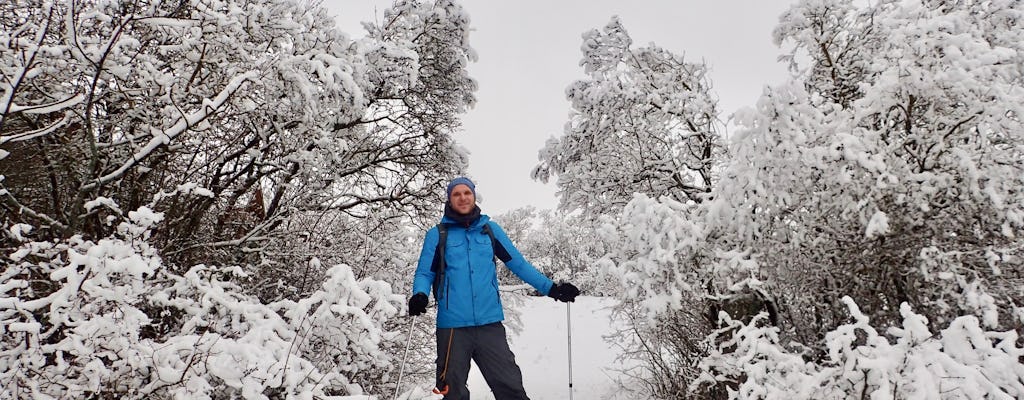 Caminata con raquetas de nieve Trakai