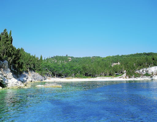 Paxos and Antipaxos Cruise