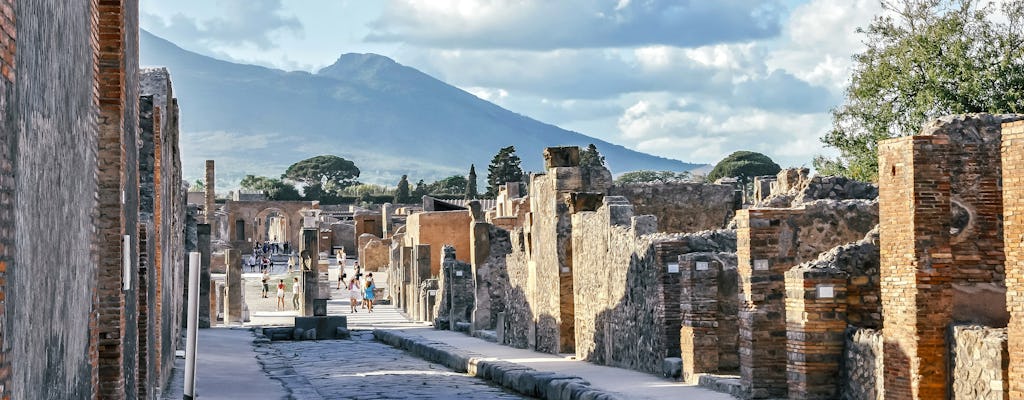 Pompeii and Herculaneum Full Day Tour with Local Lunch