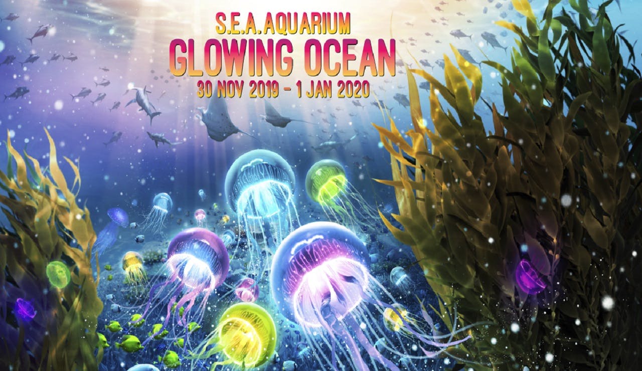 Glowing Ocean at S.E.A. Aquarium™