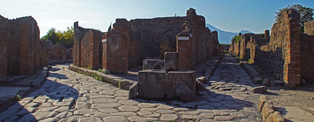 Visite de Pompéi et Herculanum