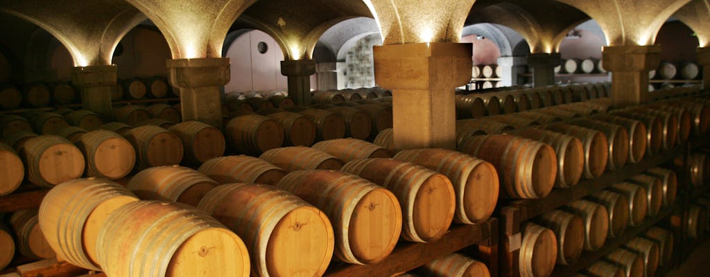 Tour pela vinícola e degustação de vinhos na vinícola Argiolas