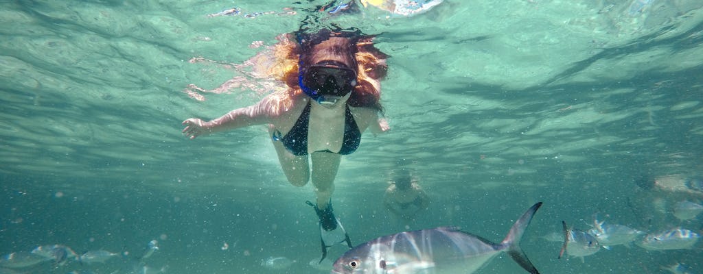 Reef Explorer - Raies pastenagues, plongée en apnée et massage