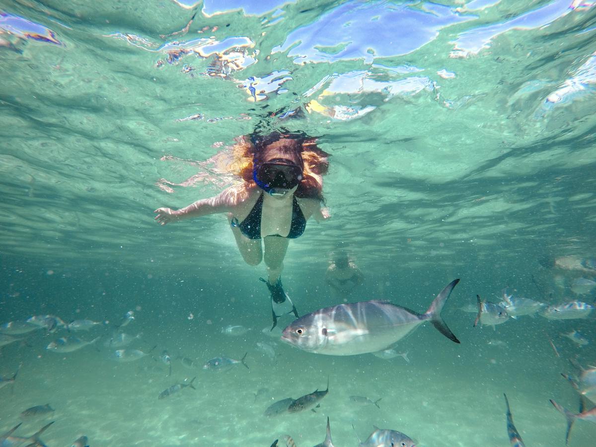 Reef Explorer - Stingrays, Snorkelling & Massage
