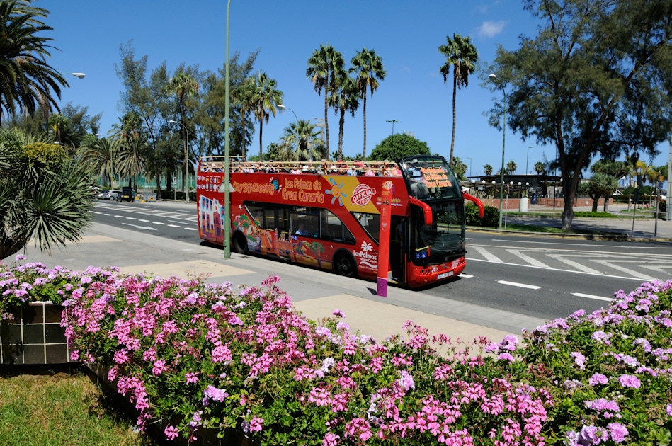 Hop on off in Gran Canaria musement