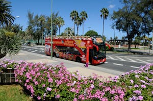 Hop-on-Hop-off-bus in Gran Canaria