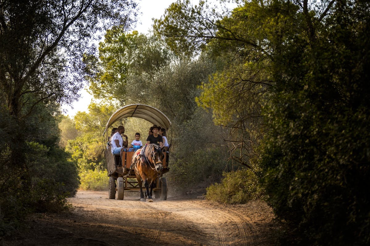 Rancho Grande