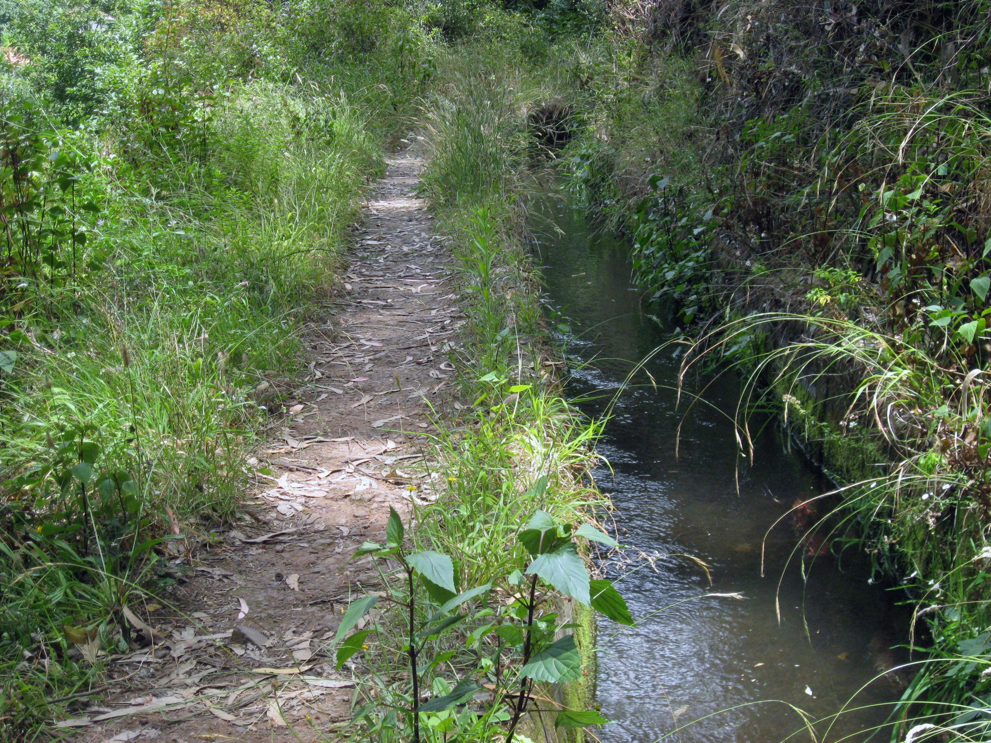 Serra de Agua Walk