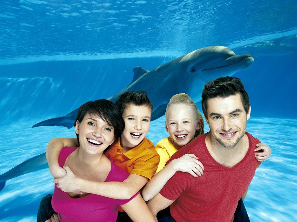 Marineland with transfer