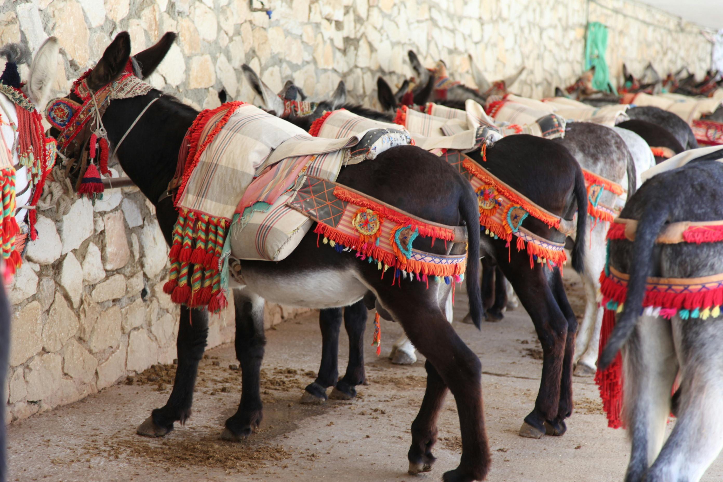 Mijas – Marmara