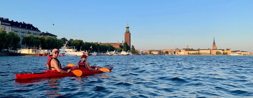 Begeleide kajak-ecotour overdag in Stockholm