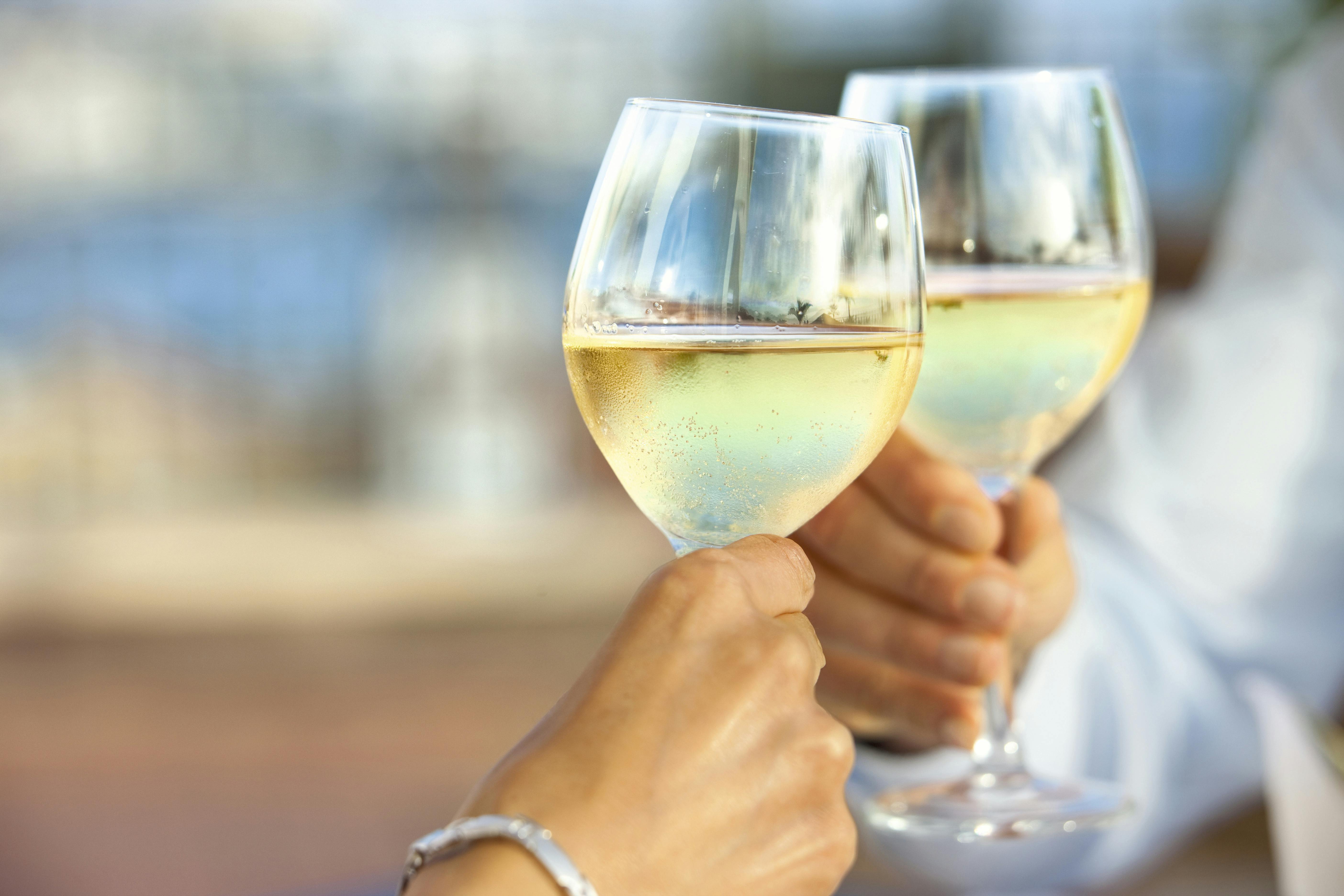 Wine Tasting in Mijas Wine Museum