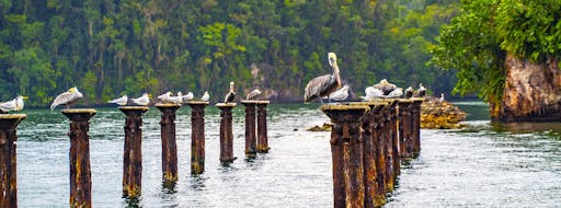 Los Haitises