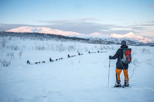 Guided Husky snowshoe hike