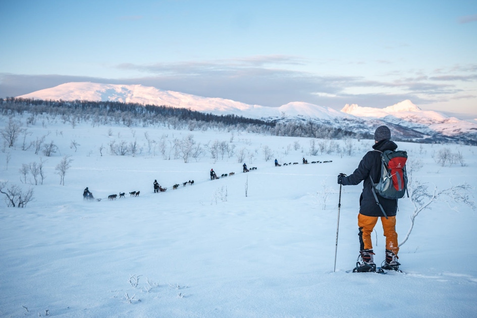 Winter activities in Tromsø  musement