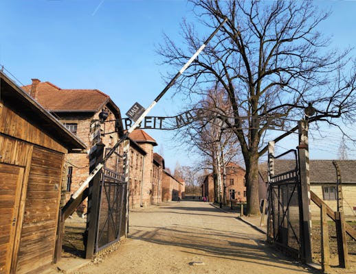 Auschwitz Birkenau and Wieliczka Salt Mine in one day from Krakow