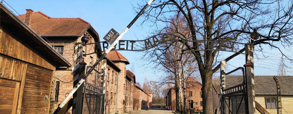 Tour di Auschwitz Birkenau e miniera di sale di Wieliczka in un giorno da Cracovia