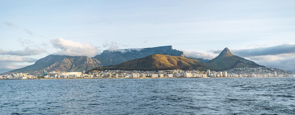Kaapstad cruise & dineren pakket schipper naar keuze