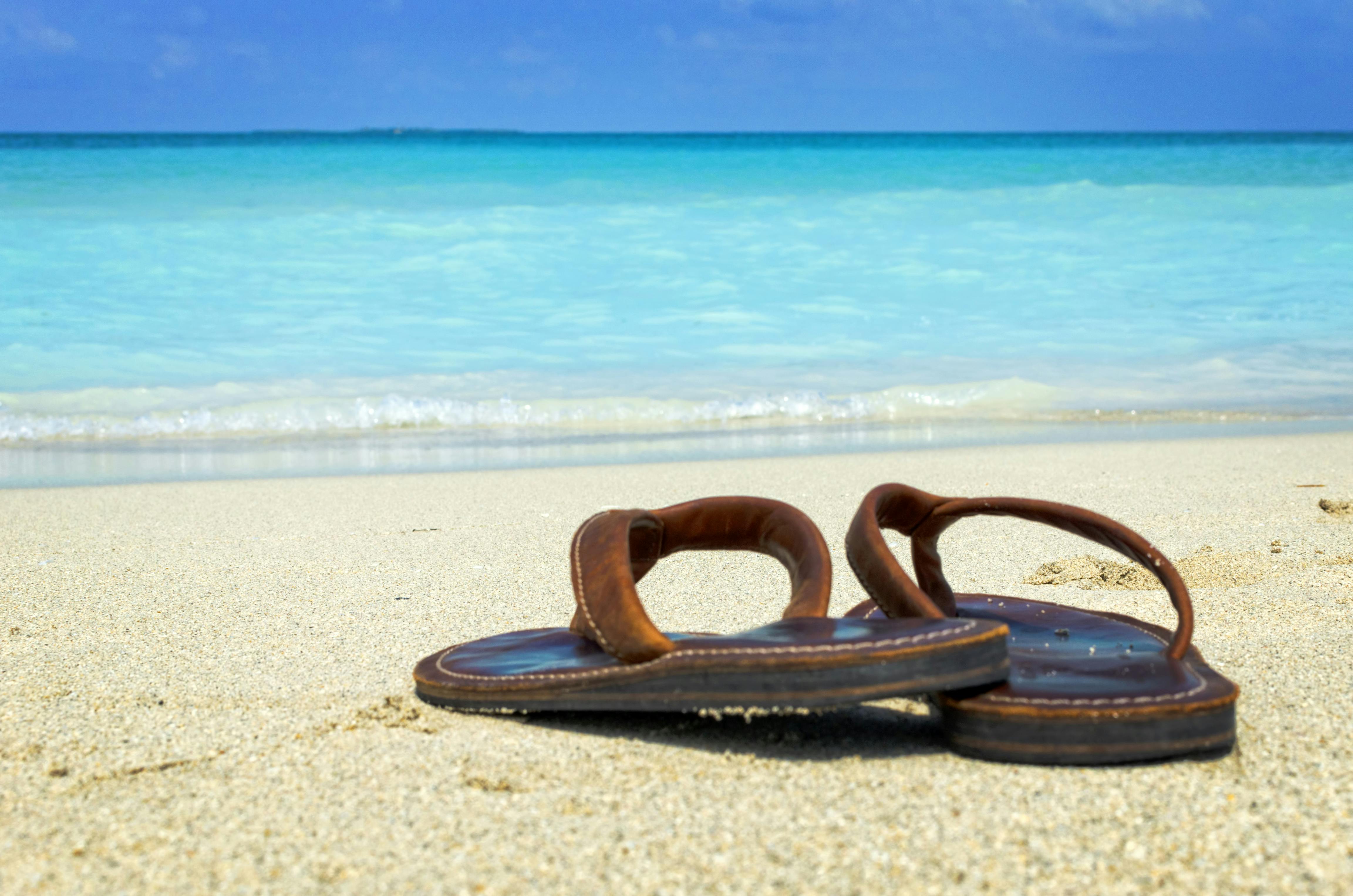 Seatour Catamaran to Cayo Blanco