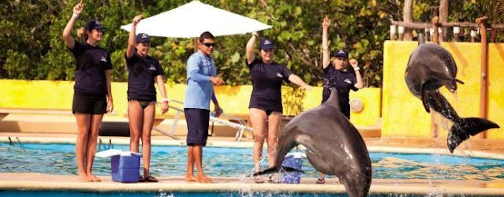 Puerto Vallarta Dolphin Trainer Ticket