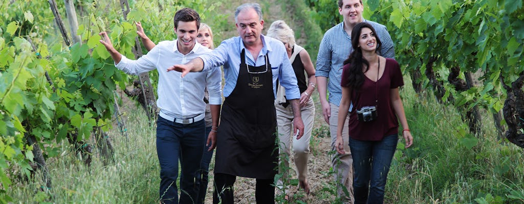 Caminhada pela vinícola e almoço na vinícola Tenuta Torciano