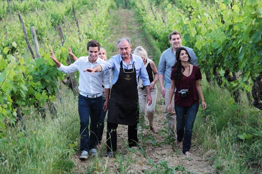 Vineyard walk and lunch at Tenuta Torciano winery