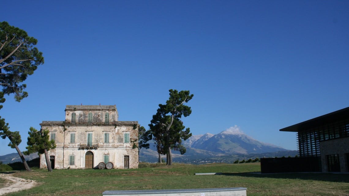 Weinprobe und Besichtigung der Palmenti von Pietranico