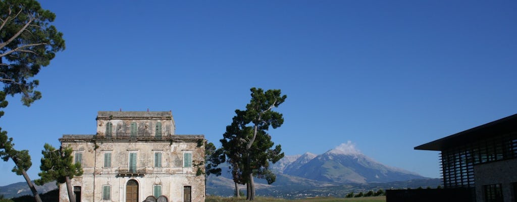 Wine tasting and tour of the Palmenti of Pietranico