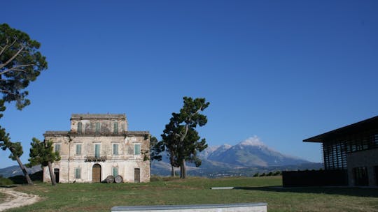 Dégustation de vins et visite du Palmenti de Pietranico