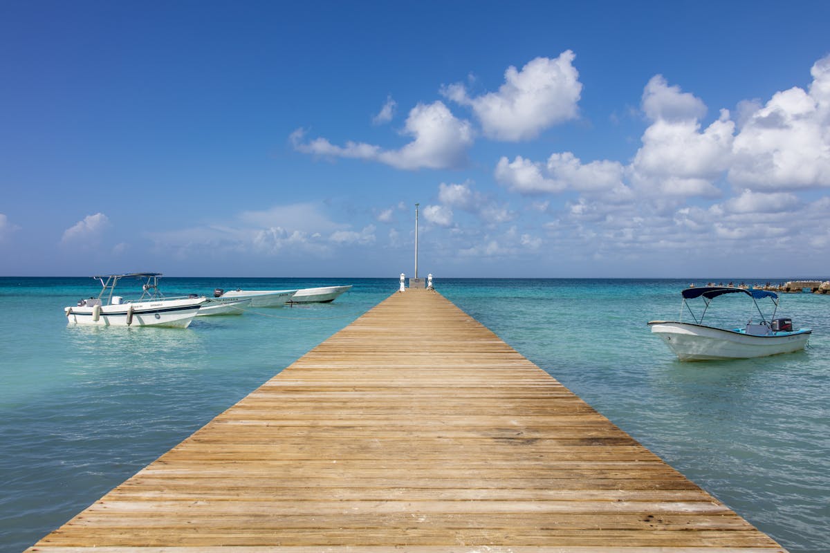 Saona Island Speedboat Tour