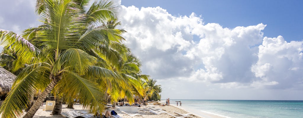 Saona Island Highlights Tour by Boat with Buffet Lunch